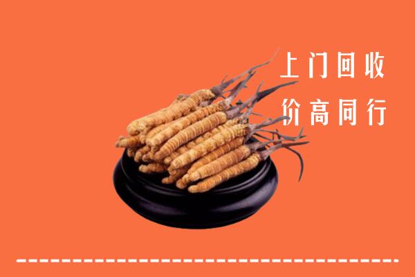 高价求购：黄山市回收散虫草